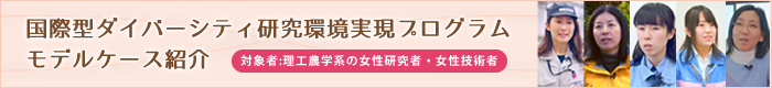 モデルケース